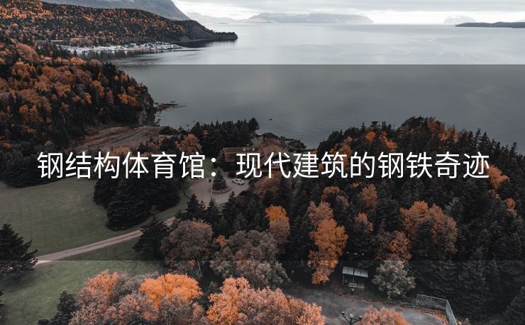 钢结构体育馆：现代建筑的钢铁奇迹