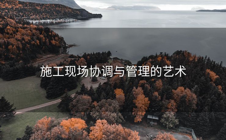 施工现场协调与管理的艺术