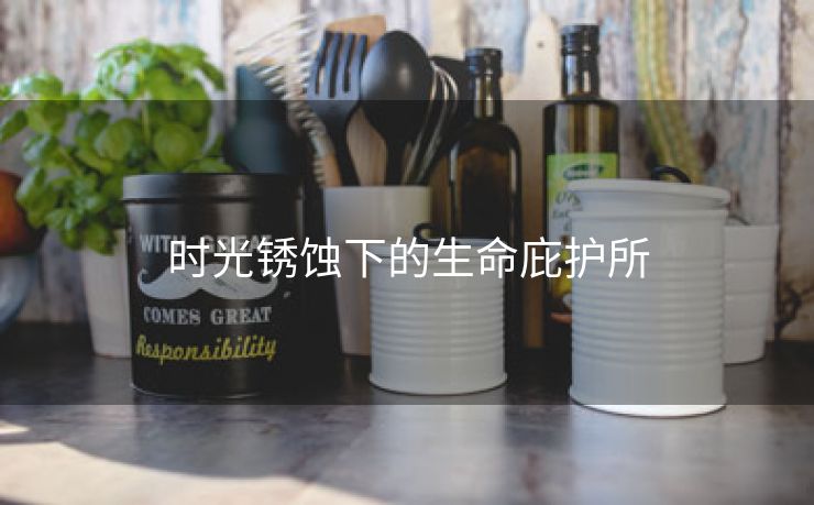 时光锈蚀下的生命庇护所