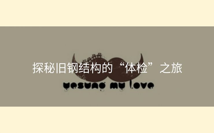 探秘旧钢结构的“体检”之旅