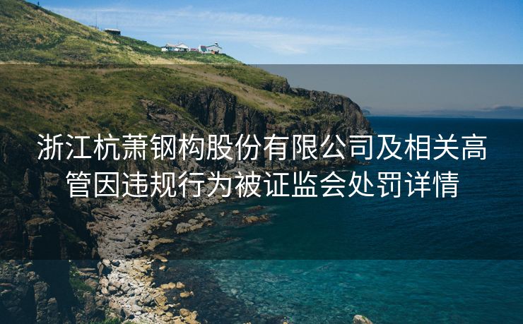 浙江杭萧钢构股份有限公司及相关高管因违规行为被证监会处罚详情