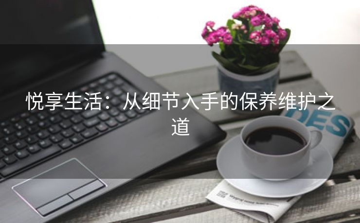 悦享生活：从细节入手的保养维护之道