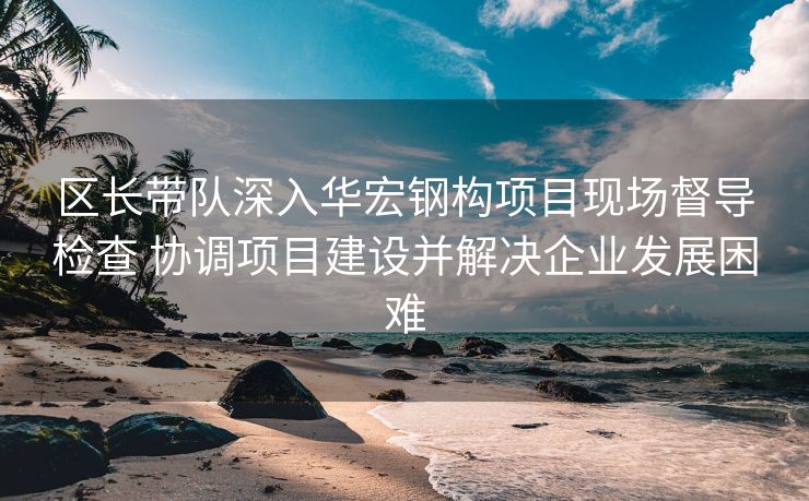 区长带队深入华宏钢构项目现场督导检查 协调项目建设并解决企业发展困难