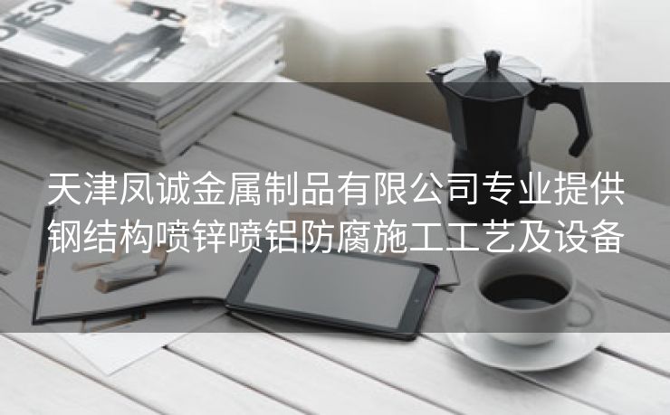 天津凤诚金属制品有限公司专业提供钢结构喷锌喷铝防腐施工工艺及设备